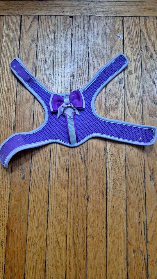 Dog harness xxs - light purple