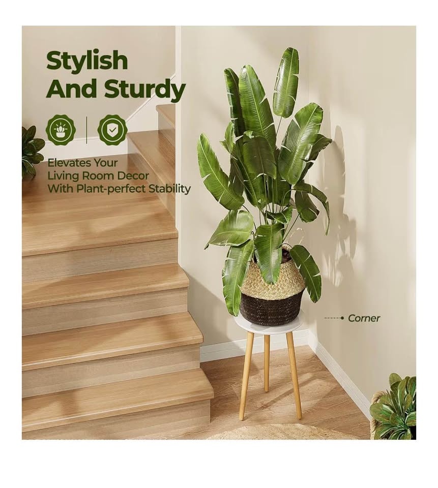 Bamworld White Round Plant Stand - photo 2