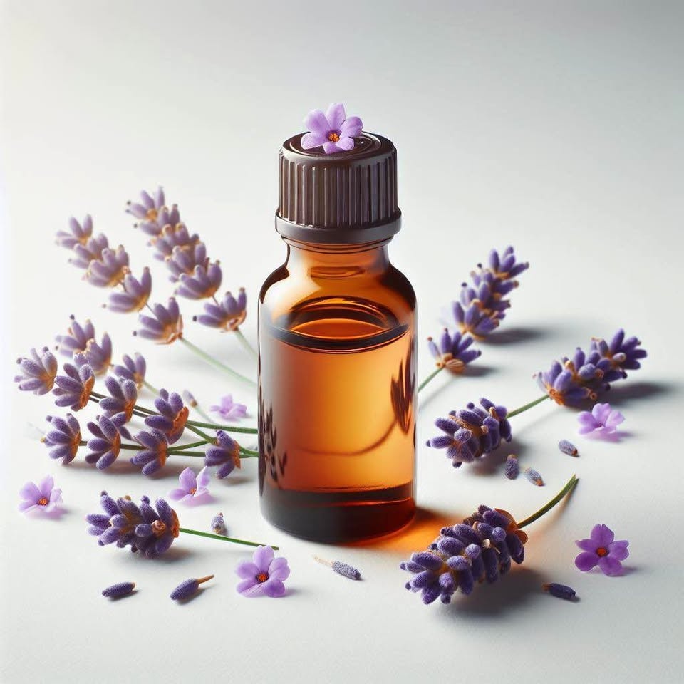French Lavender Oil - 10 mL