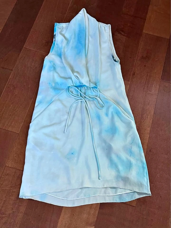 Aritzia Sabine Dress XXS