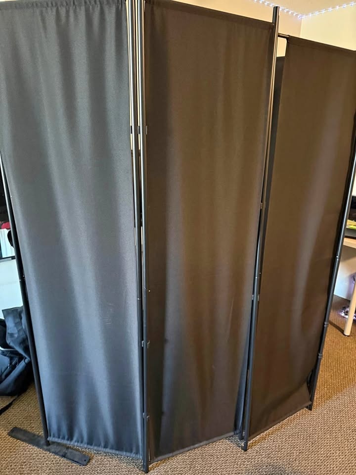 Black room divider