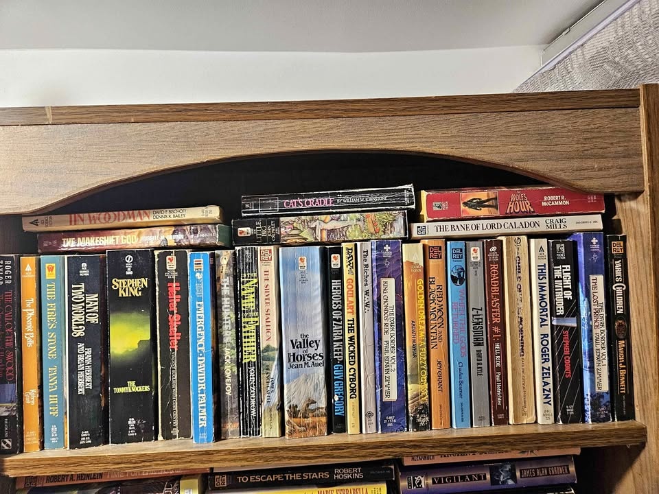 More Books for Sale (Separately)