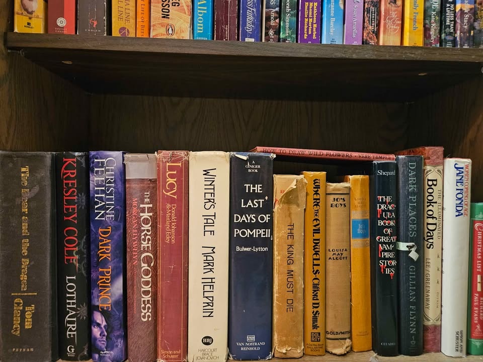 More Books for Sale (Separately) - photo 5