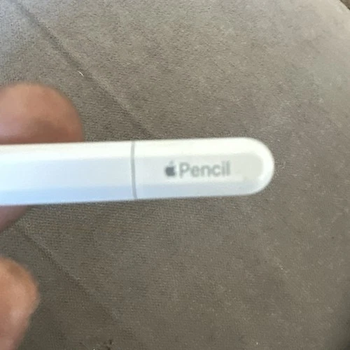 Apple Pencil (USB-C) - White Stylus - photo 4
