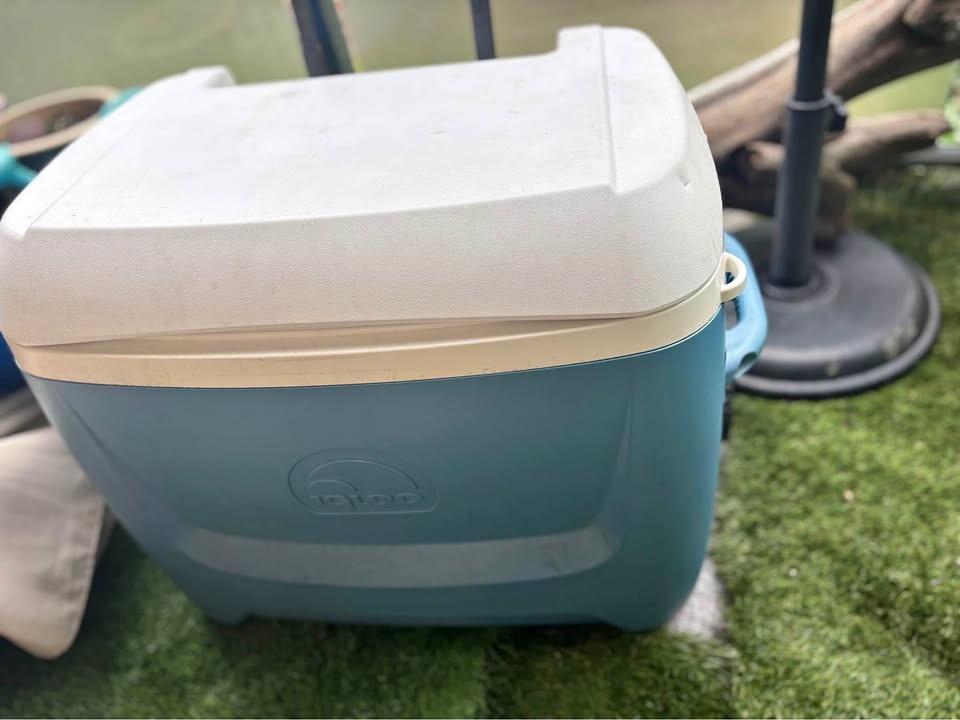 IGLOO LARGE COOLER W/ WHEELS ICE CHEST 50 Quart