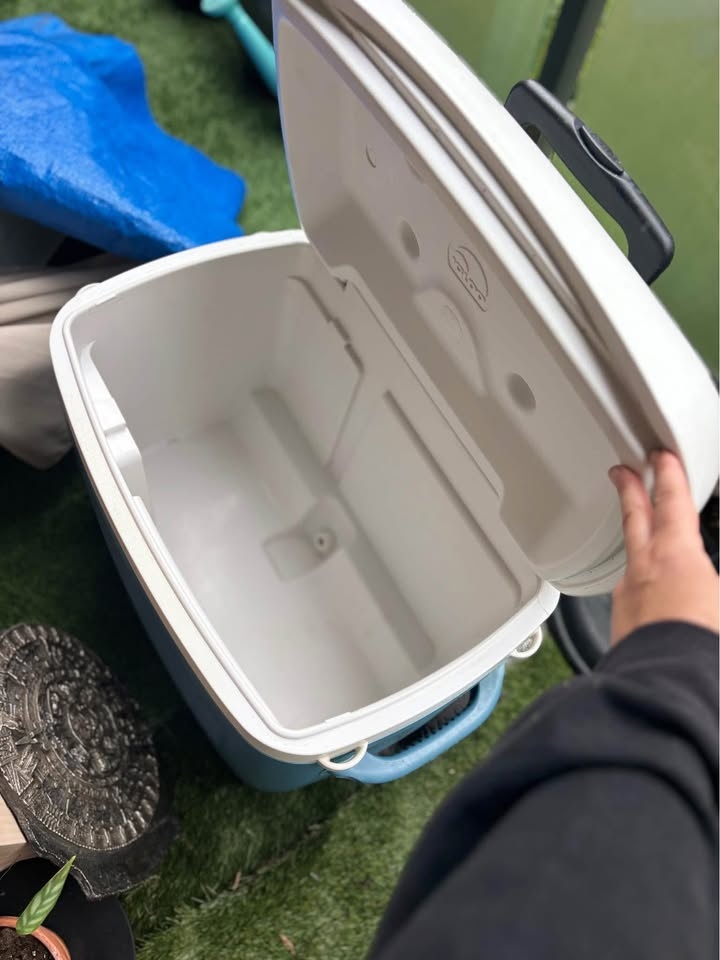 IGLOO LARGE COOLER W/ WHEELS ICE CHEST 50 Quart - photo 4