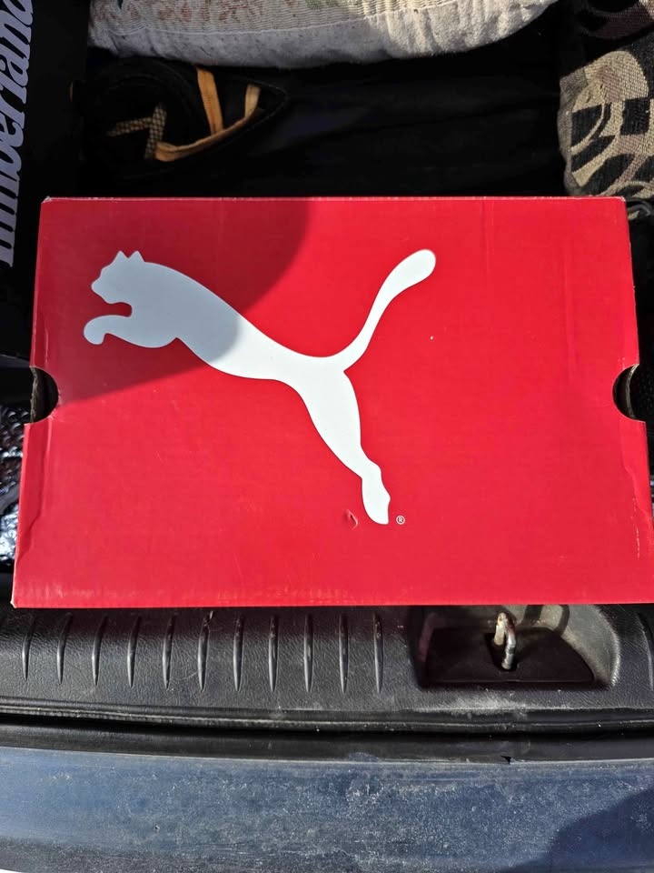 Puma Work Shoes Brand New