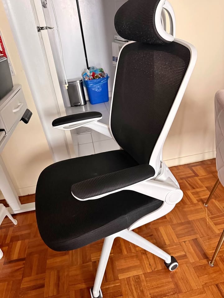 Ergonomic Office Chair (White)