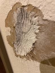 Drywall Patch Up and Fixing Drywall Damage - photo 3