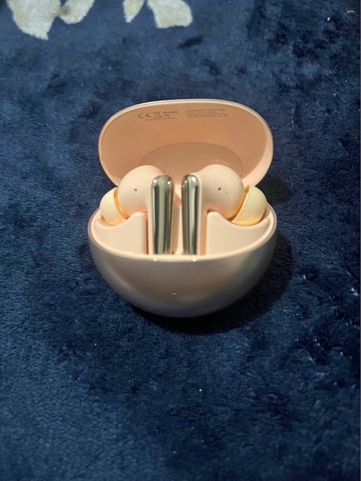 Monster n lite earbuds