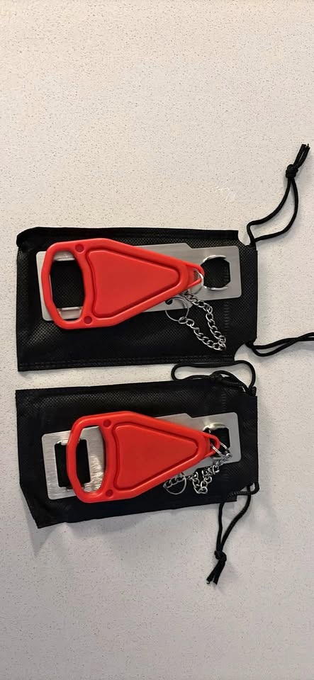 2-Pack of Security Locks