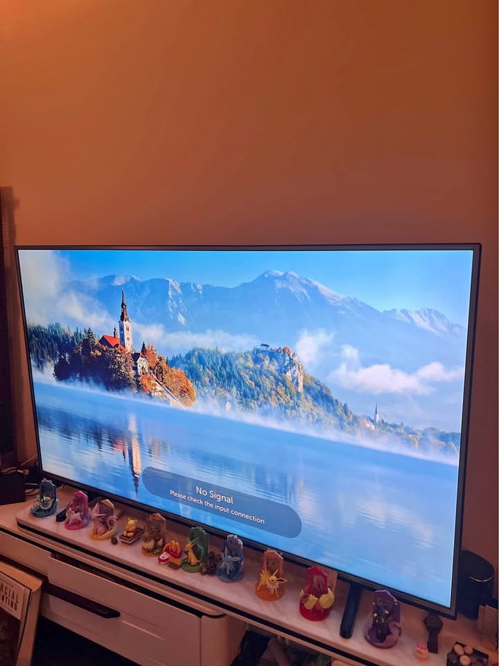 LG 65 inch TV