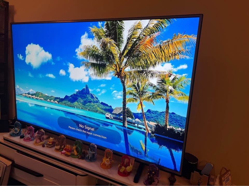 LG 65 inch TV - photo 2
