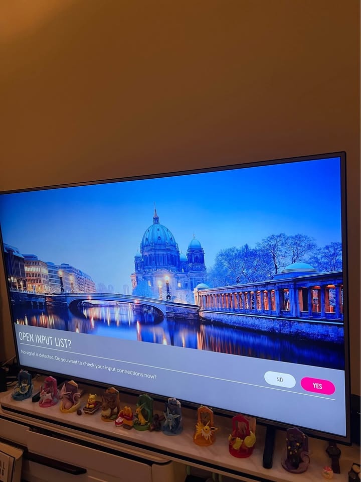 LG 65 inch TV - photo 3