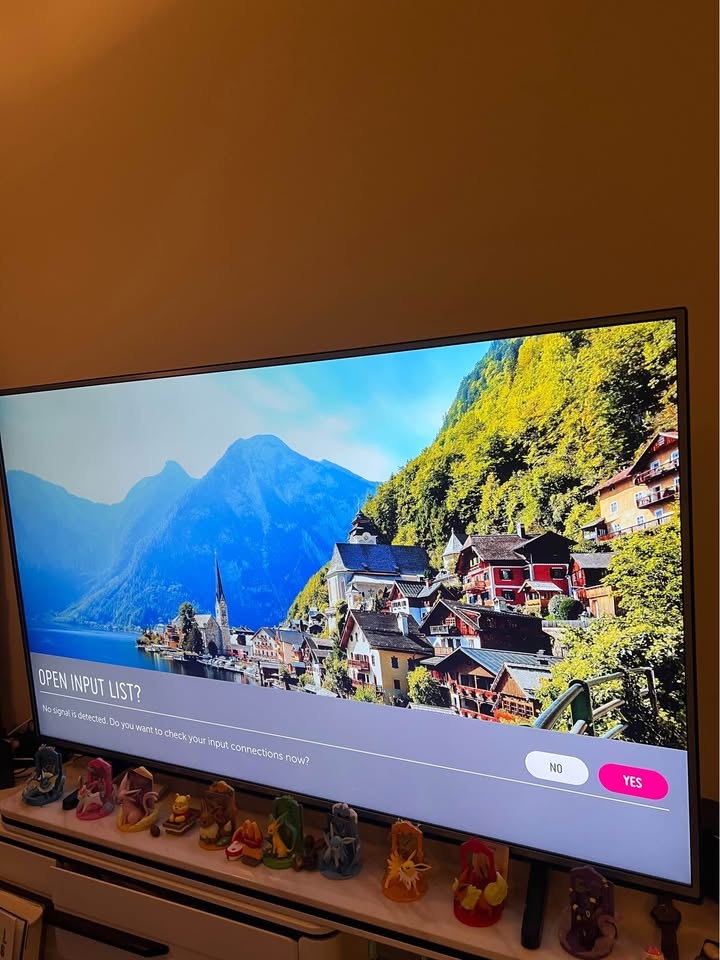 LG 65 inch TV - photo 4