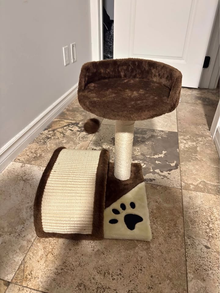 Small Cat Tree with Scratch Pad