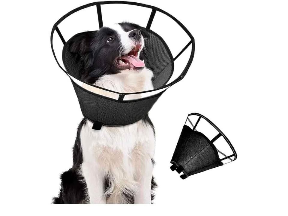 Brand new adjustable anti lick soft dog cone (Large)