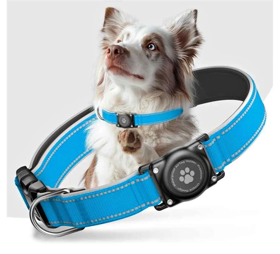 Waterproof Reflective Airtag Dog Collar - Medium