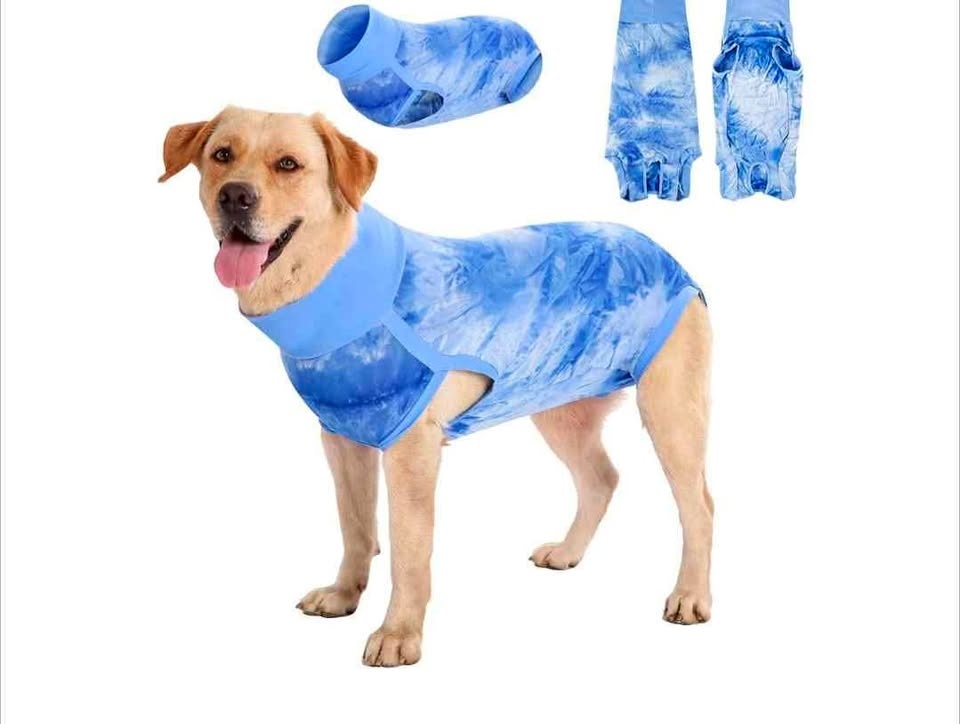 Brand new dog surgery recovery suit (Size L)