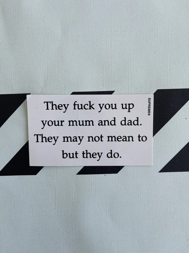 Supreme They F You Up Sticker 100 % Authentic