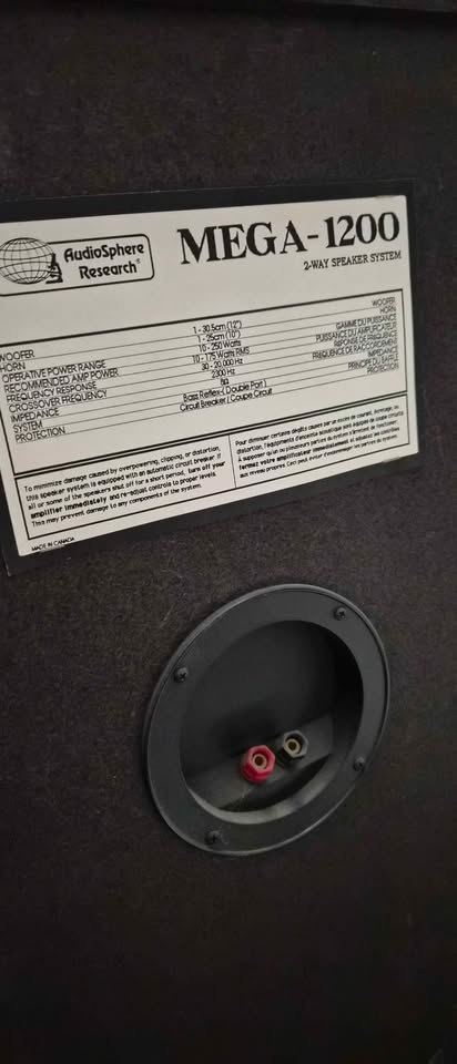 Audiosphere Research 250 Watt Speakers - photo 2