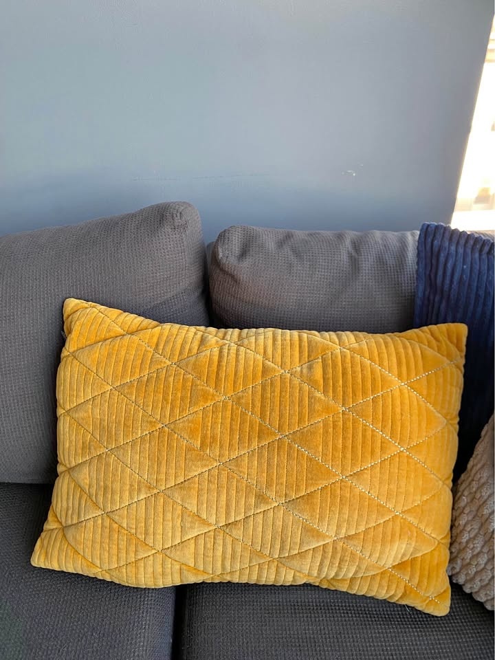 Simon’s Gold Embroidery Velvet Cushion 40x60cm