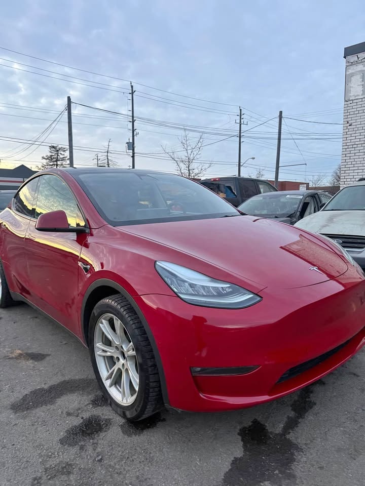 2021 Tesla Model Y