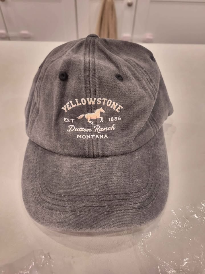 Yellowstone Logo Hat - photo 3
