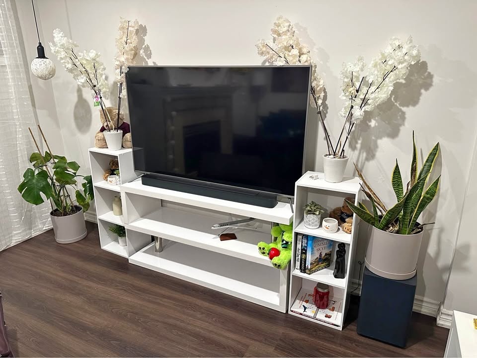 55" Smart TV w/ Cabinet, Fire Stick & Shelves