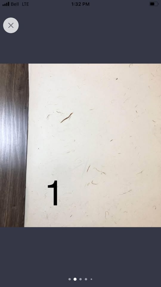 Poster Size Japanese Paper (washi) 43”x31” - photo 2