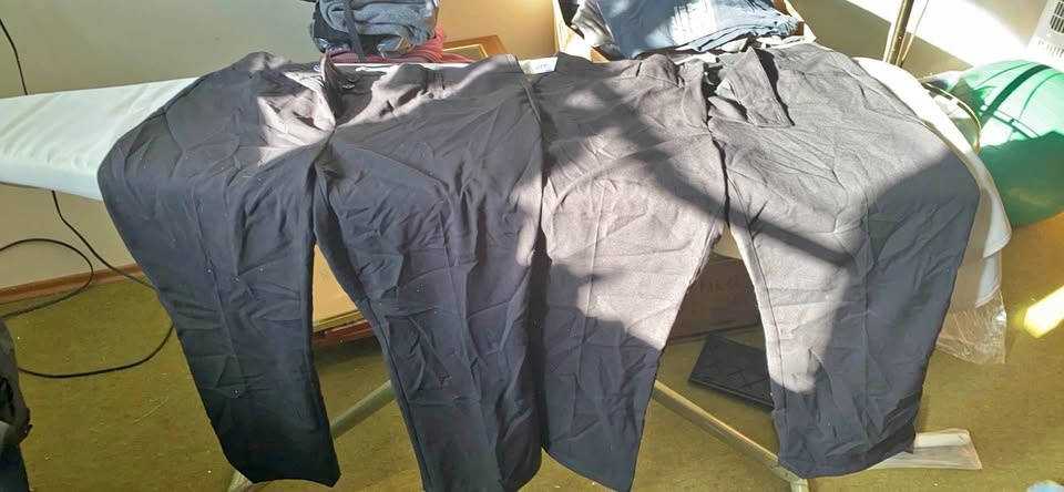 Size 12 Dress Pants from Rickis