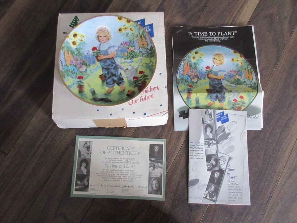 March of Dimes Collectors Plates - photo 5