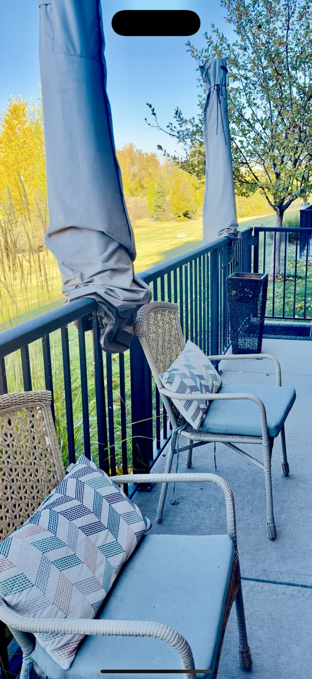 Pier 1 Patio Chairs with Cushions