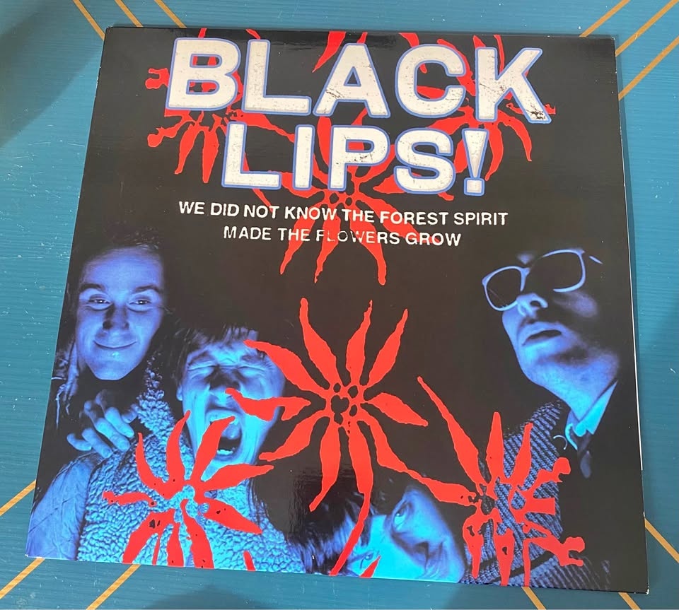 Black Lips - We did not Know the Forest Spirit Made the Flowers