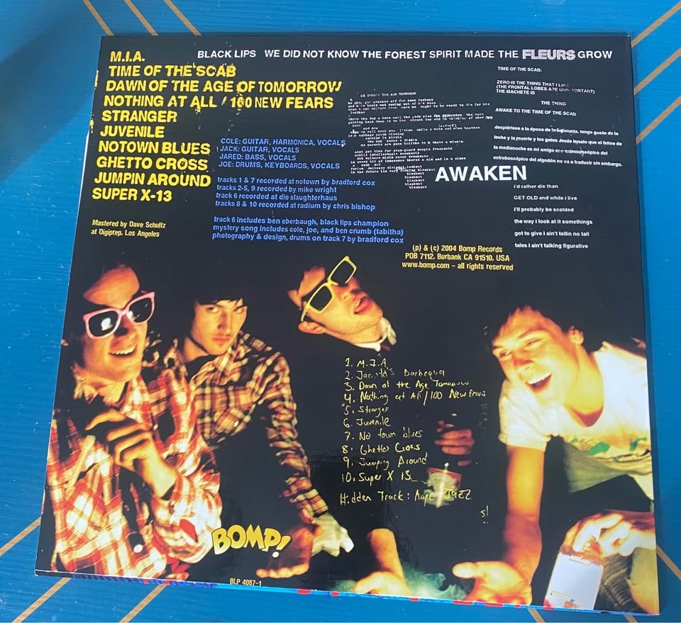 Black Lips - We did not Know the Forest Spirit Made the Flowers - photo 2