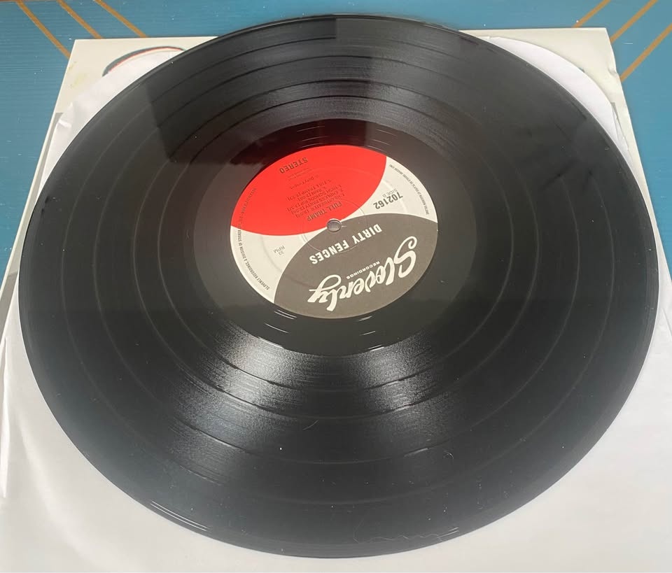 Dirty Fences - Full Tramp vinyl 2015 VG+ Garage Rock - photo 3