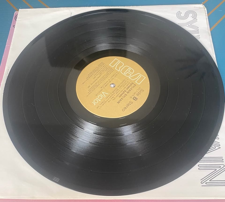 Sylvain Sylvain Solo Album Vinyl 1979 VG+ Rock/New Wave/Punk - photo 4