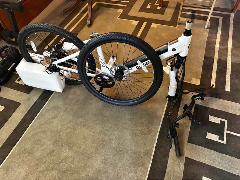 GOTRAX Dolphin 26" 500W Electric Bike
