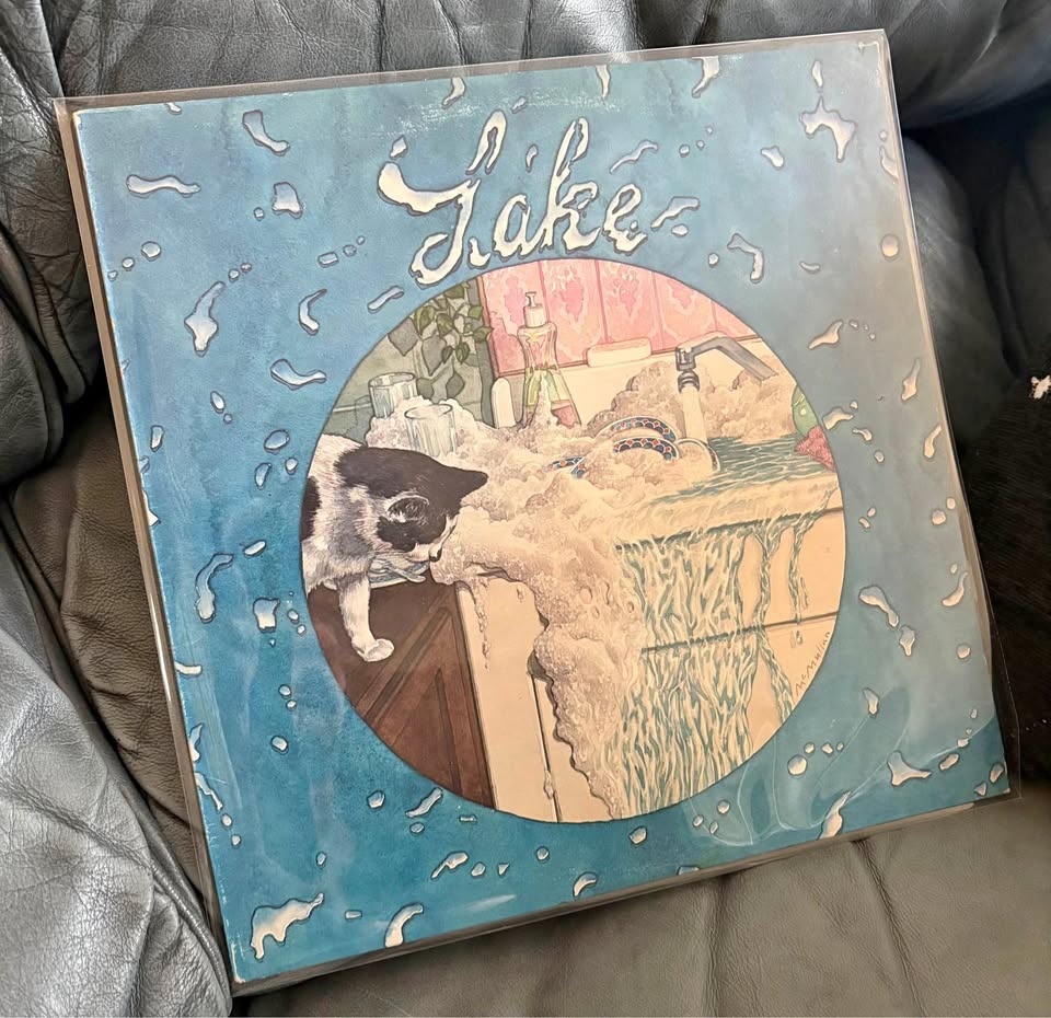 Rare 1977 LAKE Debut Vinyl Record - Great Condition