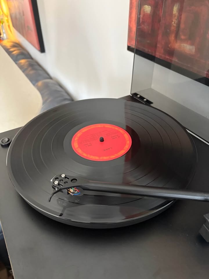 Rare 1977 LAKE Debut Vinyl Record - Great Condition - photo 3