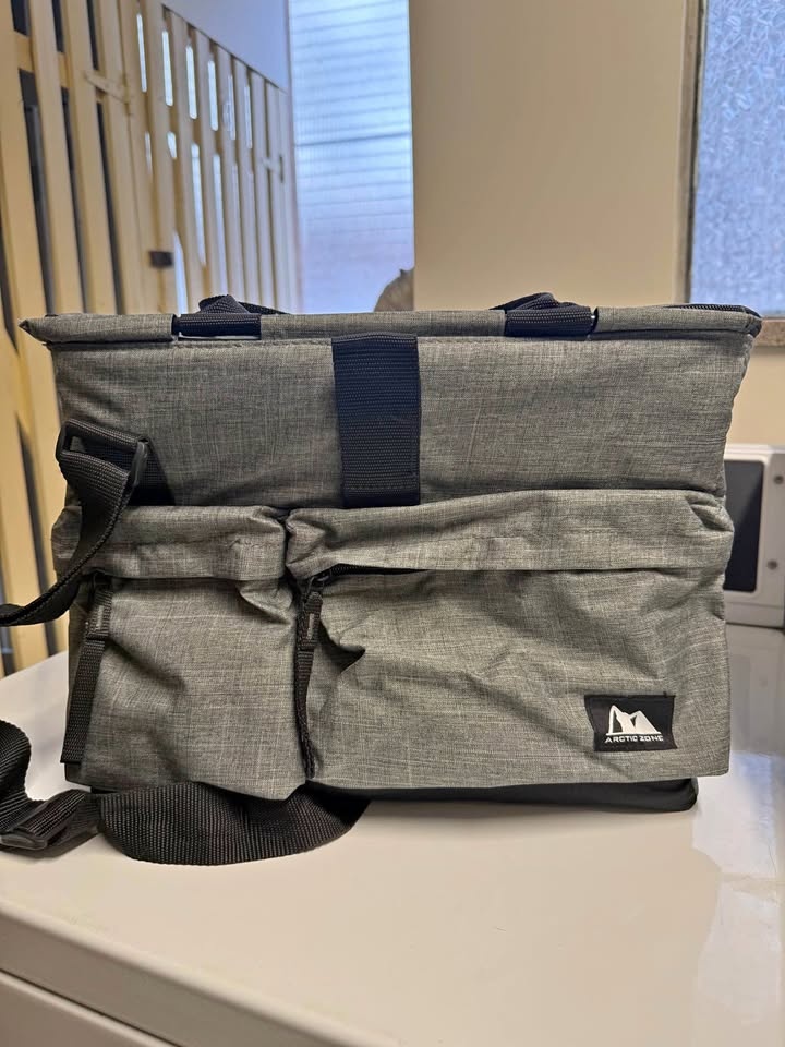 Arctic Zone Insulated Bag