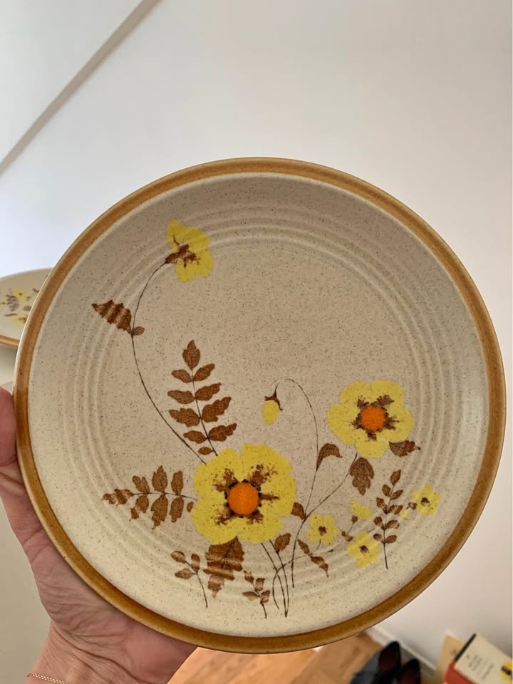 Mikasa Plates Japan