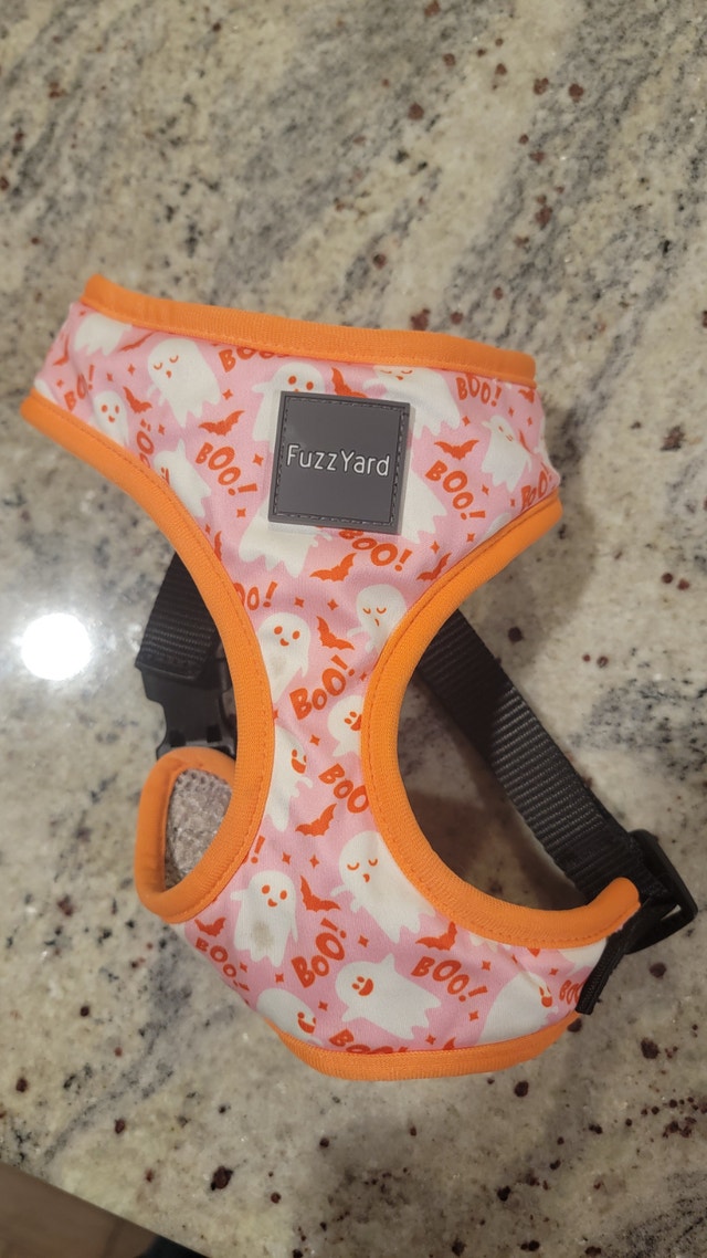 Dog harness for small dogs in excellent condition like Havanese