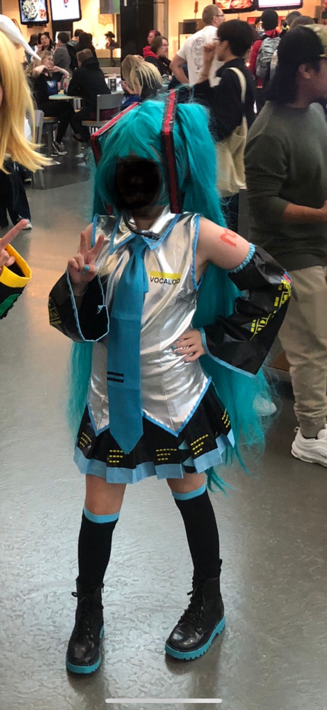 Hatsune Miku Wig - photo 2