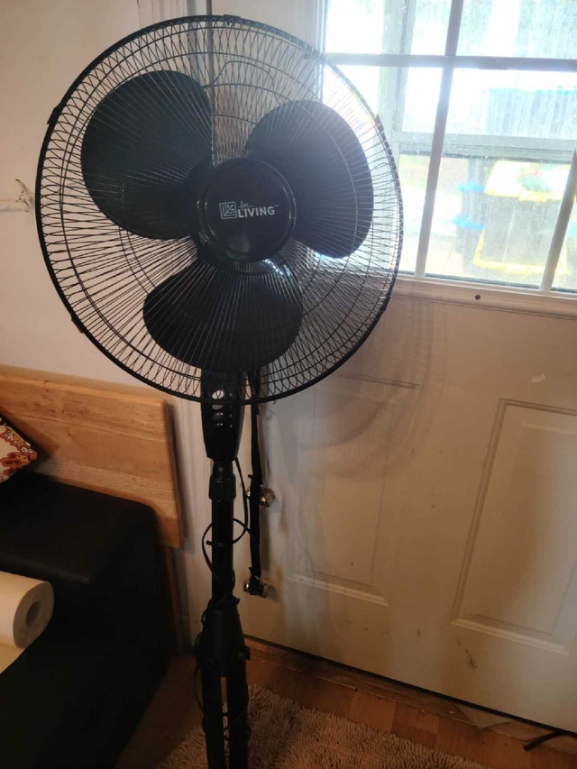 Pedestal fan