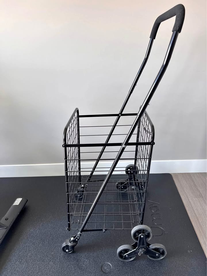 Foldable Shopping Cat