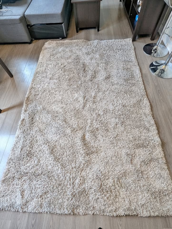 Large 5x8 Plush Shag Rug - Neutral/Beige/Grey - Great condition