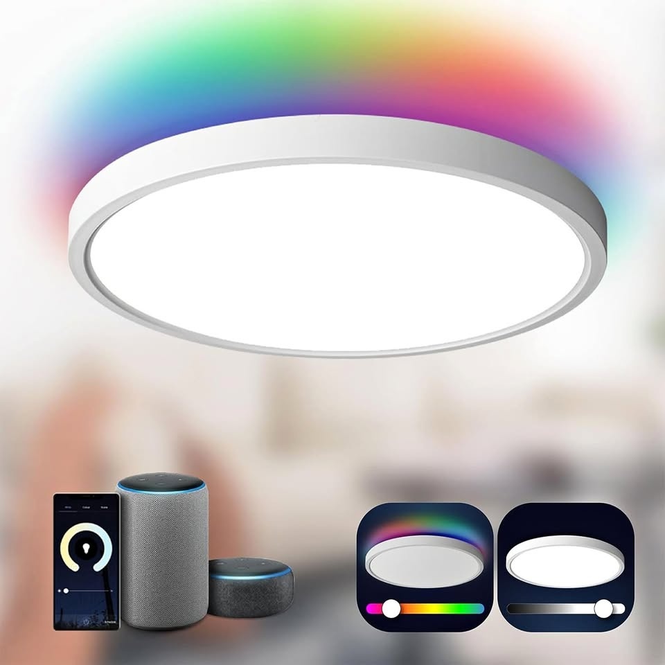 Taloya Smart Ceiling Light - APP Control, Alexa/Google Home Comp
