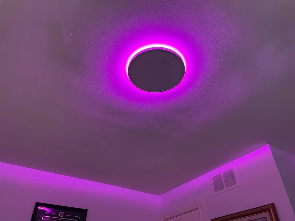 Taloya Smart Ceiling Light - APP Control, Alexa/Google Home Comp - photo 2