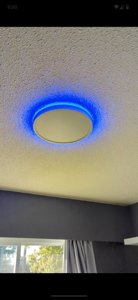 Taloya Smart Ceiling Light - APP Control, Alexa/Google Home Comp - photo 3